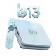 Receptor BTV B13 4K / 2GB RAM/ 16GB/ IPTV/ VOD/ Wifi-5G/ Android 11 - Blanco