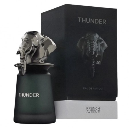 Perfume French Avenue Thunder Eau de Parfum Masculino 100ml