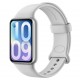 Pulsera Inteligente Xiaomi Smart Mi Band 10 Pro M2552B1 - Plateado