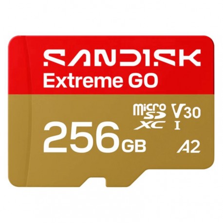 Cartão de Memória Micro SD SanDisk Extreme GO 256GB 240Mbs - SDSQXGN-256G-GN6MN