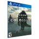 JUEGO SHADOW OF THE COLOSSUS PS4 -EMBALAGE CARTON